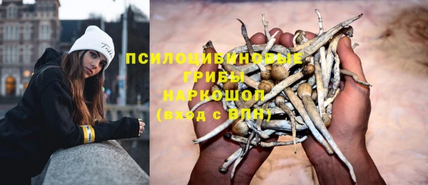 Альфа ПВП Балабаново
