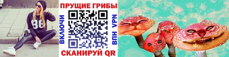 Псилоцибиновые грибы мицелий  что такое   Туран 